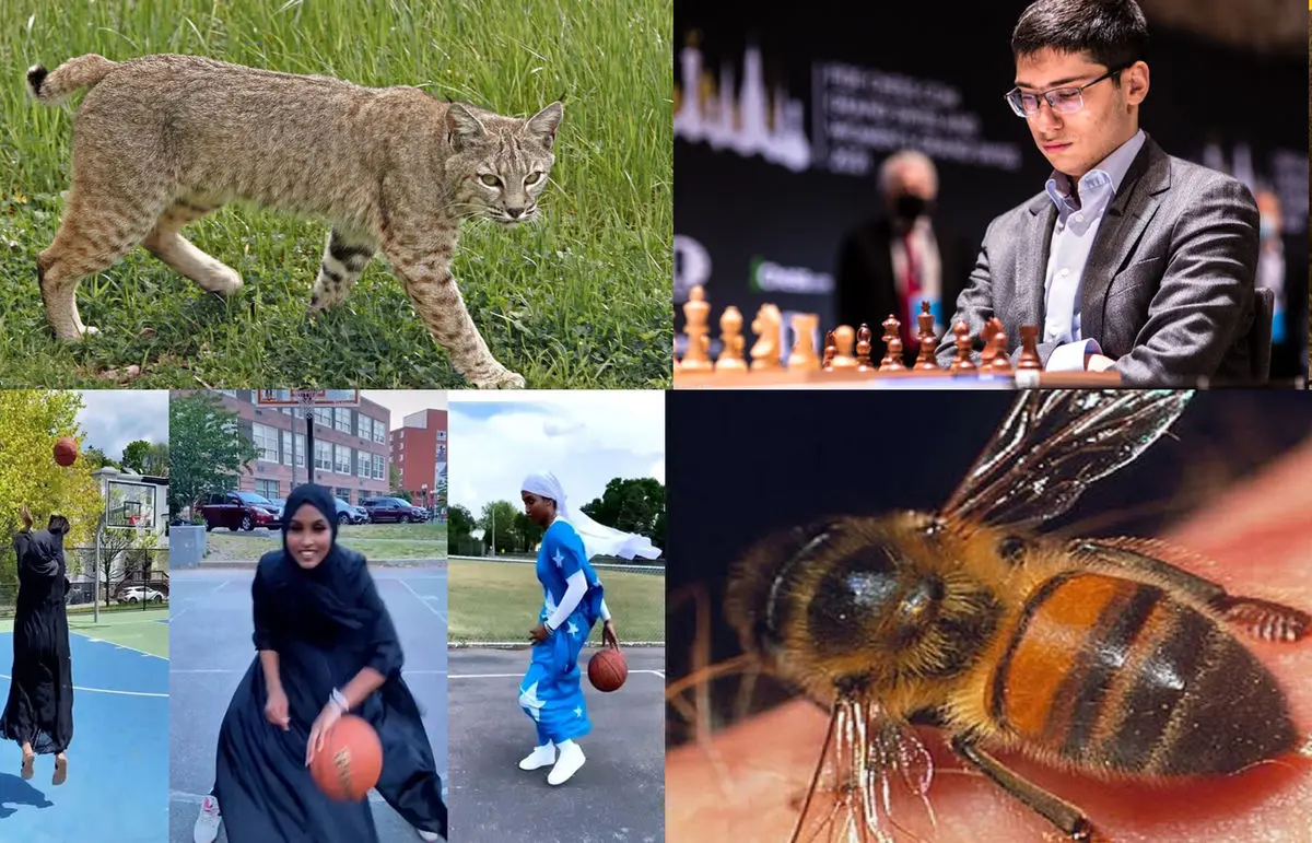 (ویدئو) از عذرخواهی مداح گوشواره به گوش تا حجاب متفاوت دختر بسکتبالیست