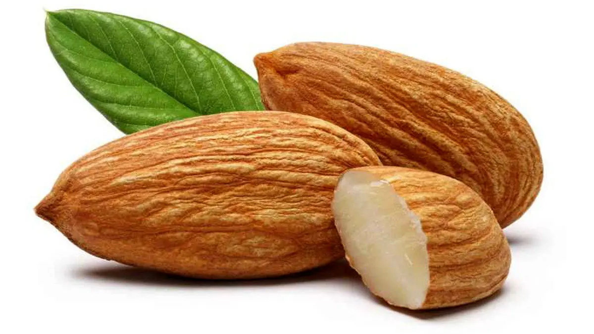 ۵ خاصیت مصرف منظم بادام برای سلامتی