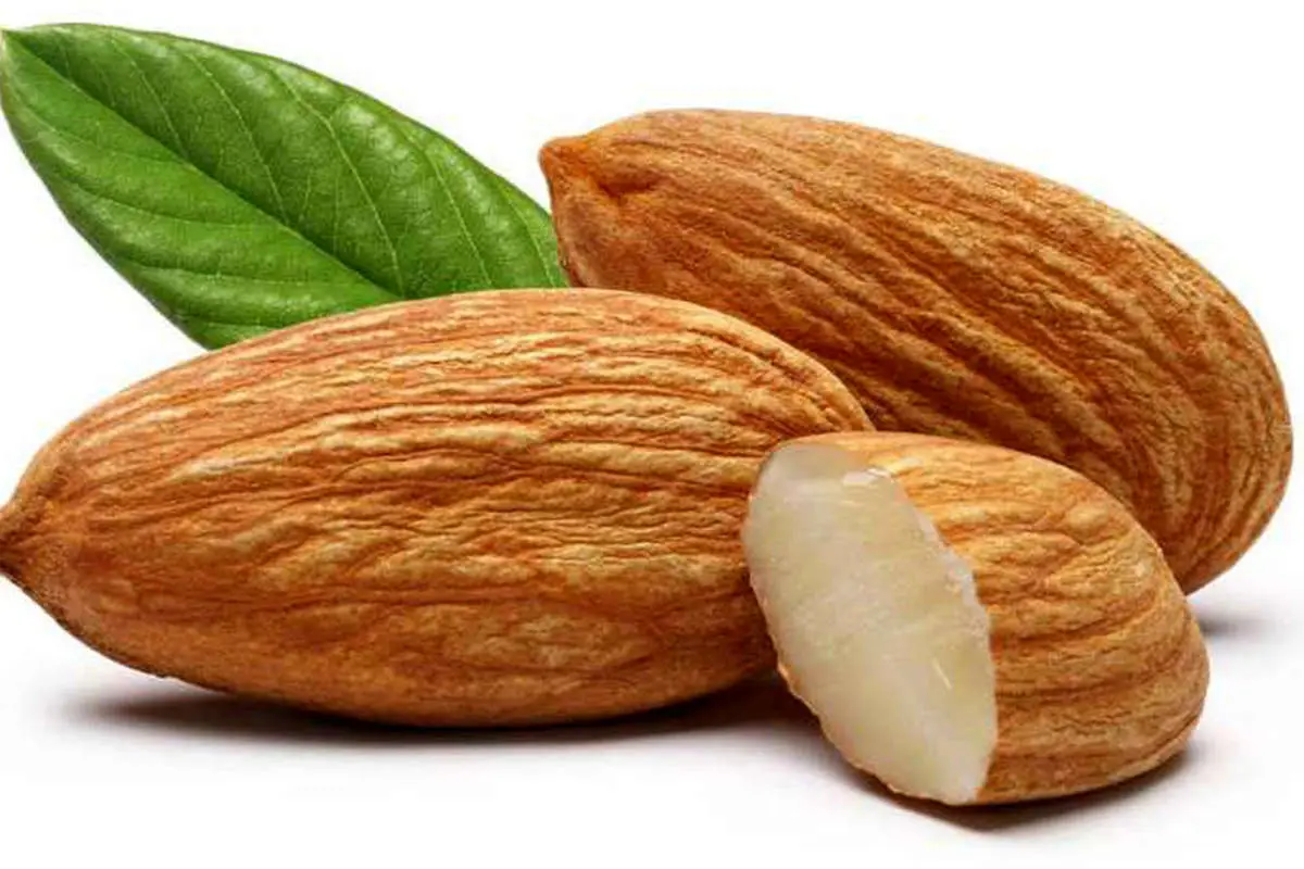۵ خاصیت مصرف منظم بادام برای سلامتی