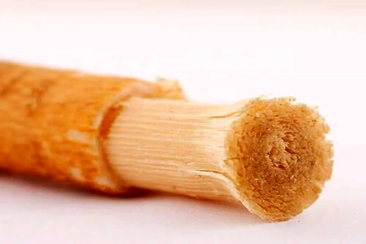 چوب مسواک، استفاده کنیم یا خیر؟