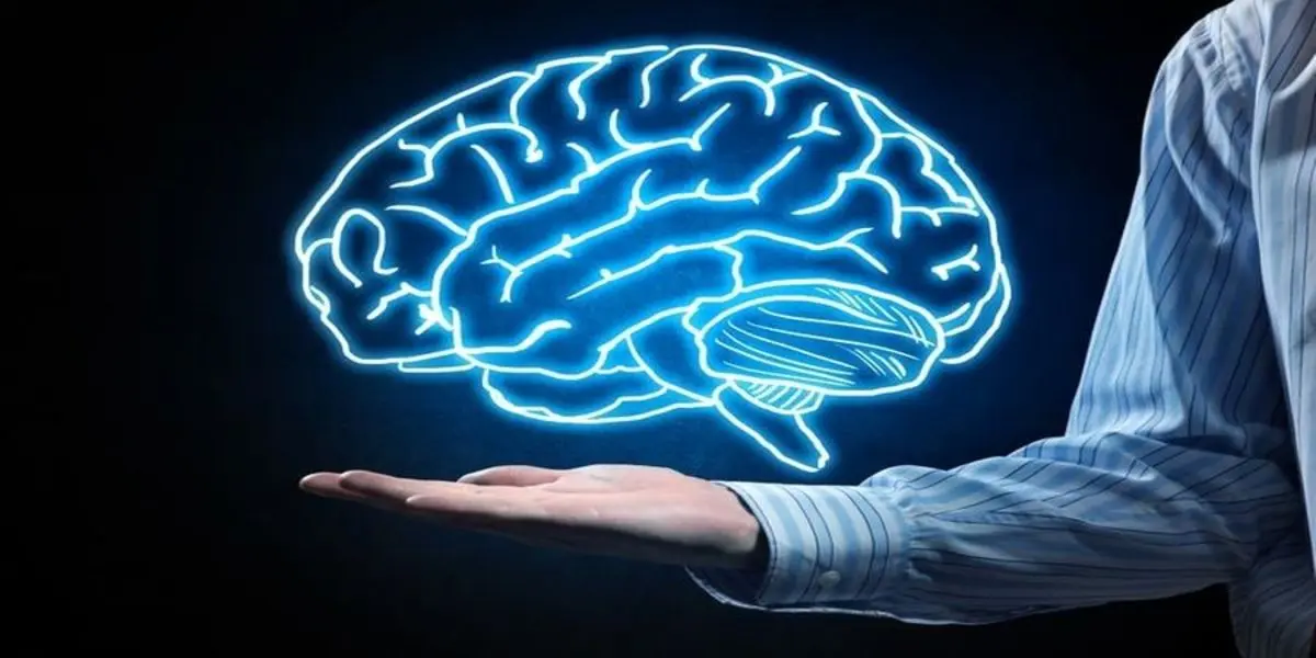 ۶ پیشنهاد سالم برای فعال نگه داشتن حافظه با افزایش سن