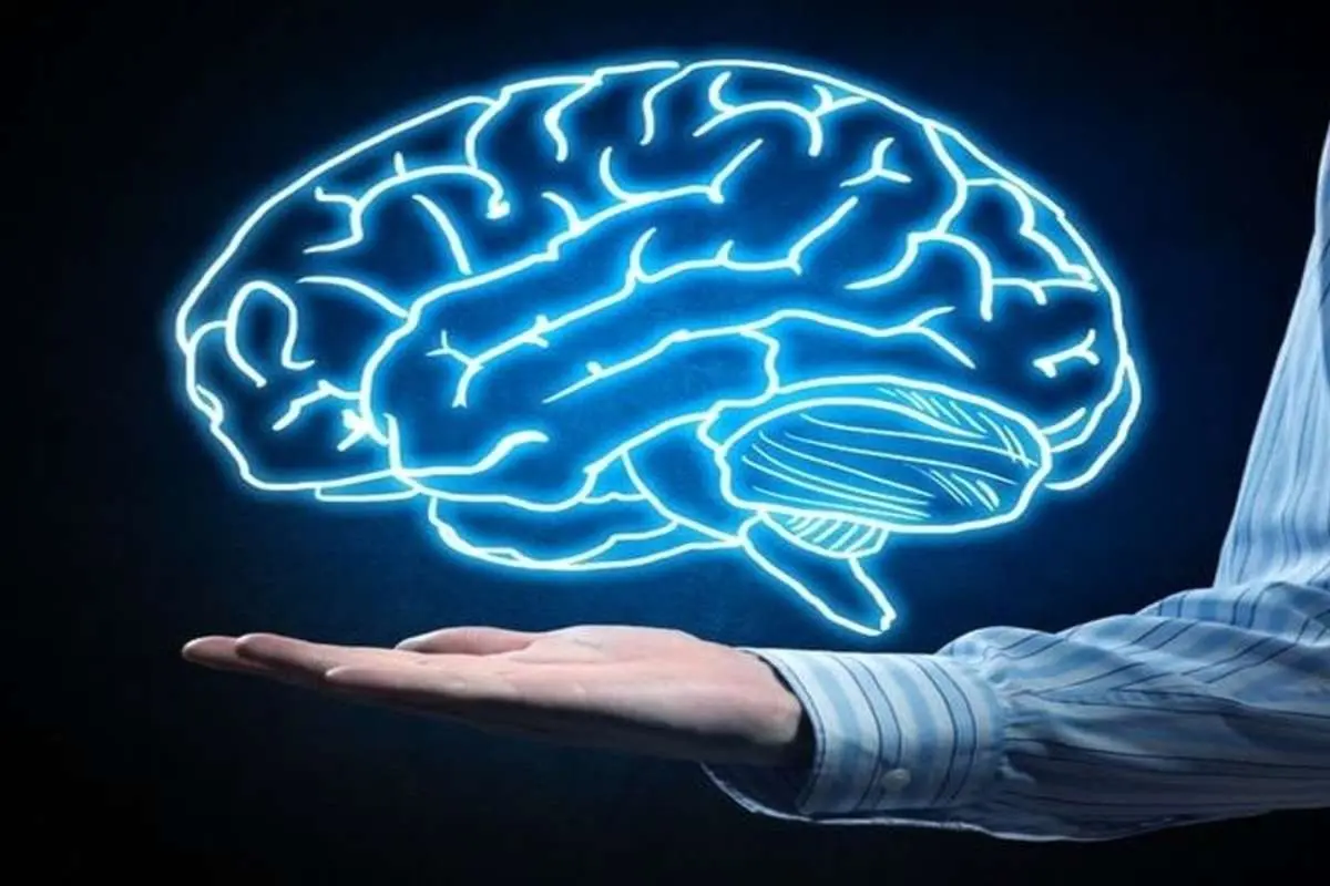 ۶ پیشنهاد سالم برای فعال نگه داشتن حافظه با افزایش سن