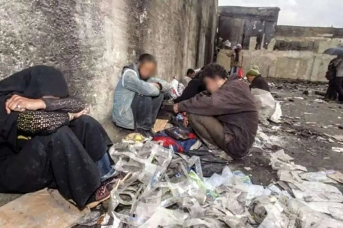 اعتیاد سگهاو پرندگان در پاتوق معتادان!