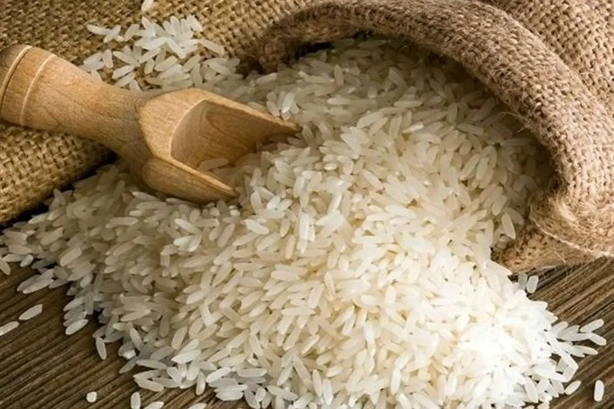 برنج ارزان میشود؟
