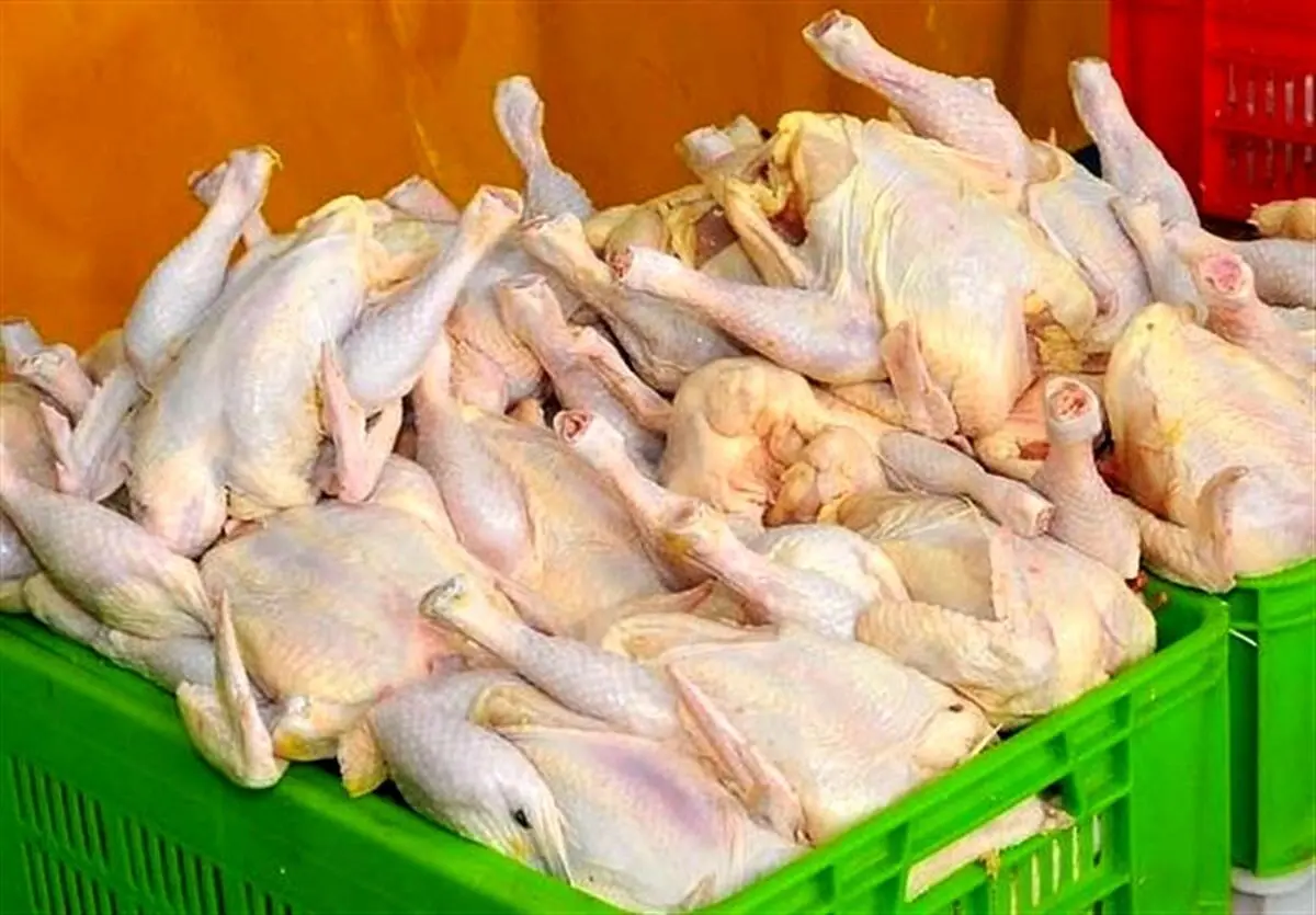 قیمت مرغ چه زمانی به ثبات می‌رسد؟