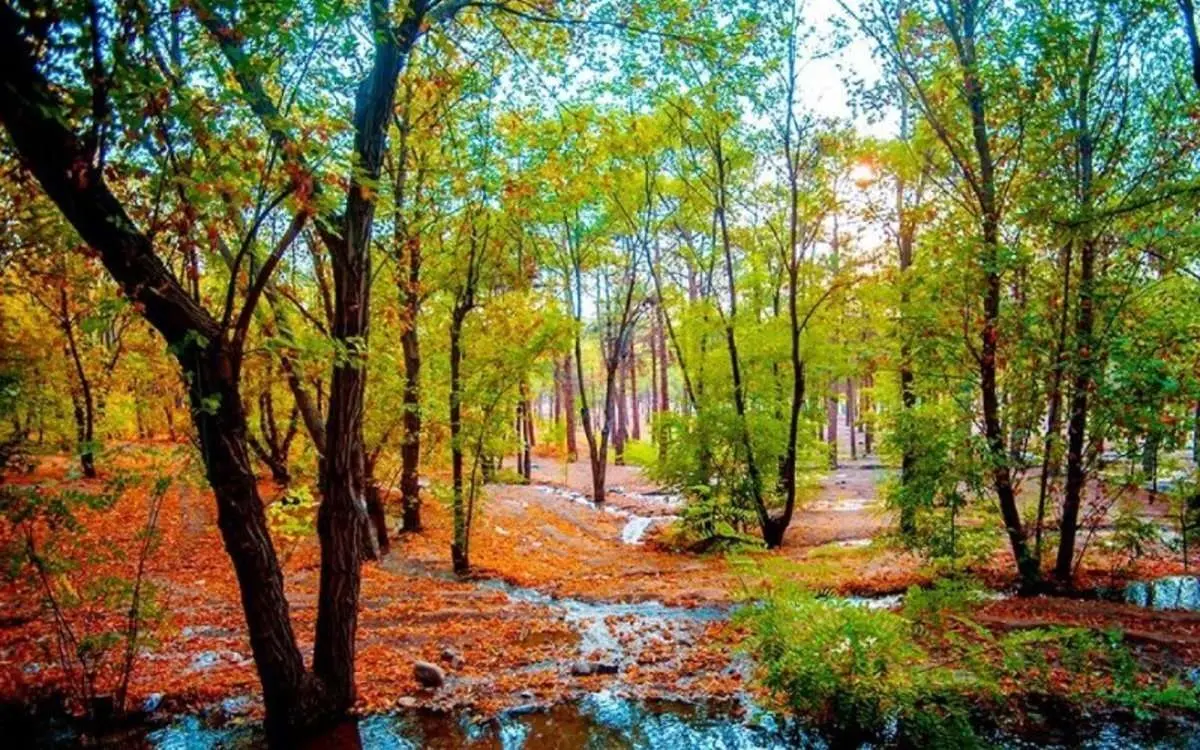 پیشبینی وضعیت آب و هوای تهران فردا دوشنبه ۲۴ آبان ۱۴۰۰