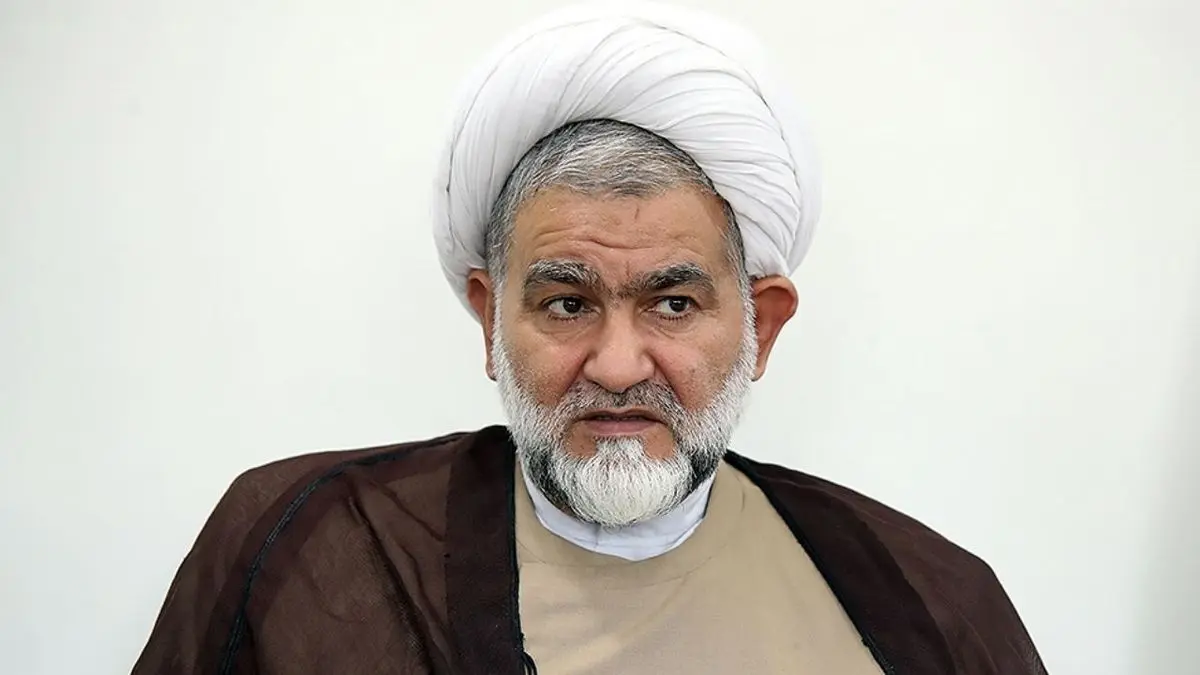 نماینده مجلس: هیچ کدام از امامان تک همسر نبودند