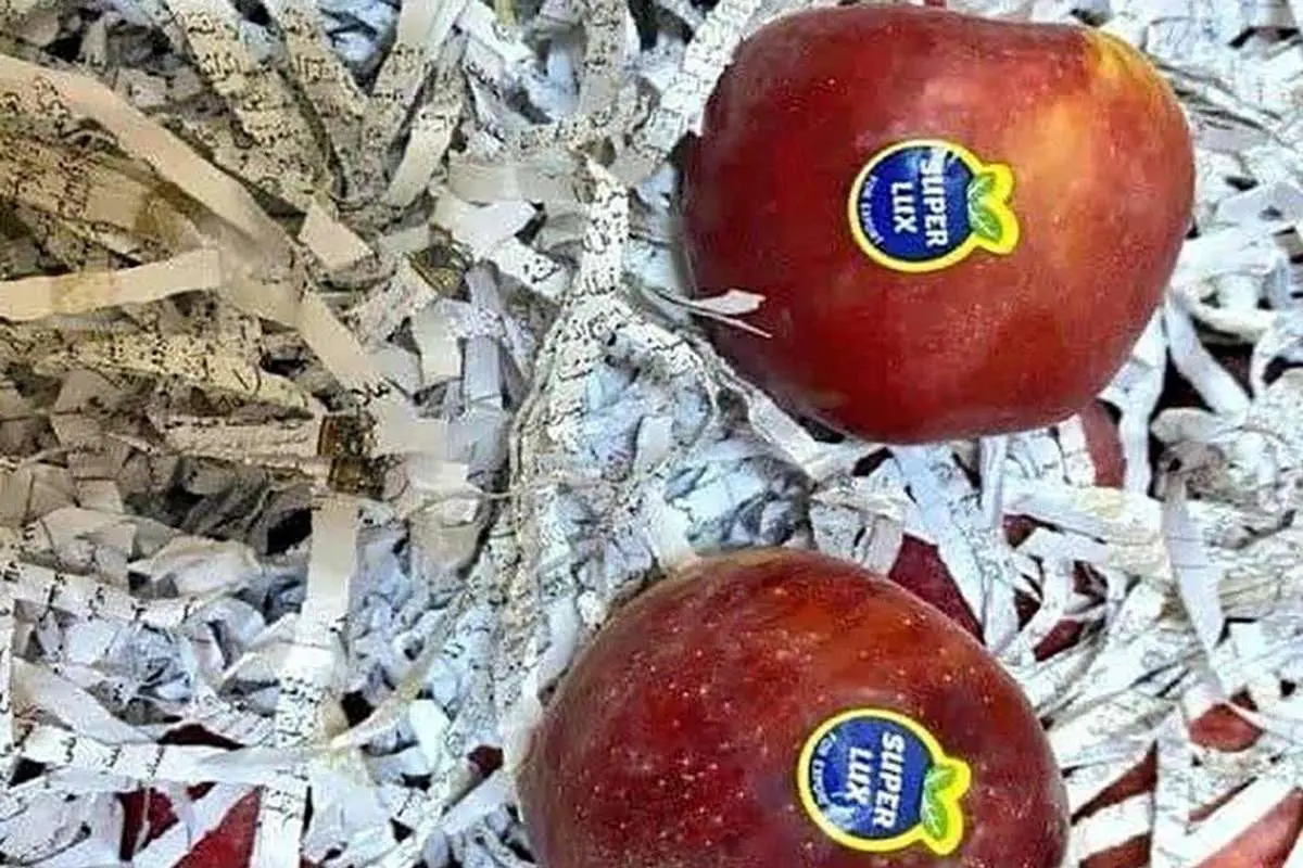 ماجرای هتک حرمت به قرآن در بین سیبهای صادراتی چه بود؟