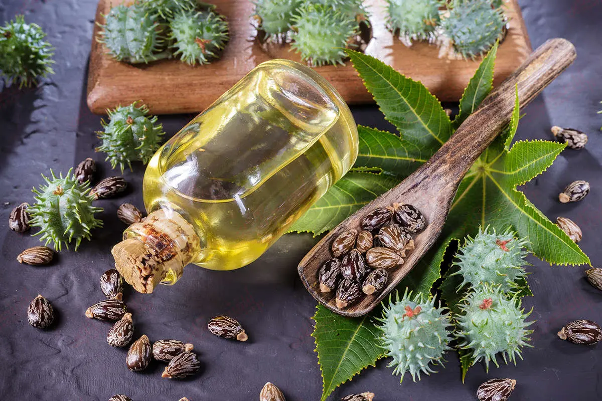 ۳ ماسک ساده خانگی برای ریزش مو؛ از دارچین تا نارگیل