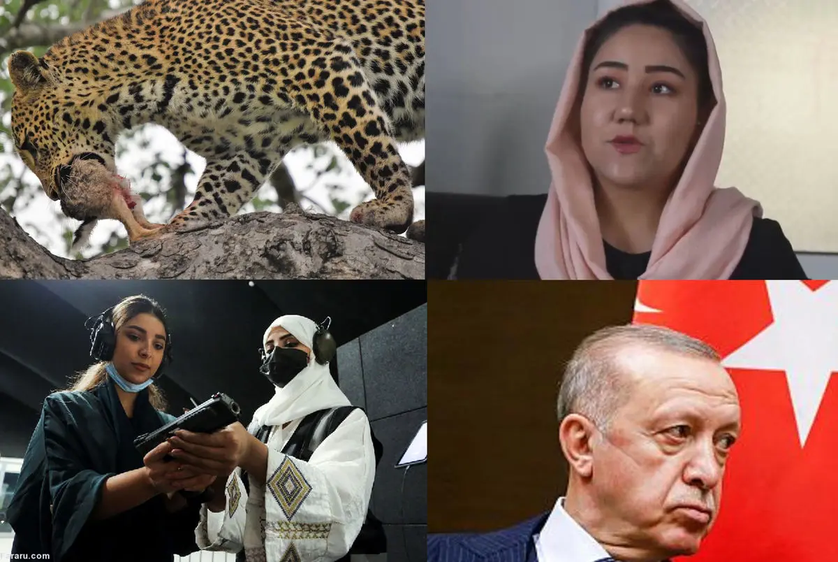 (ویدئو) از تابوشکنی زن عربستانی تا پاکبان گدا و رهبر طالبان در میان هوادارانش