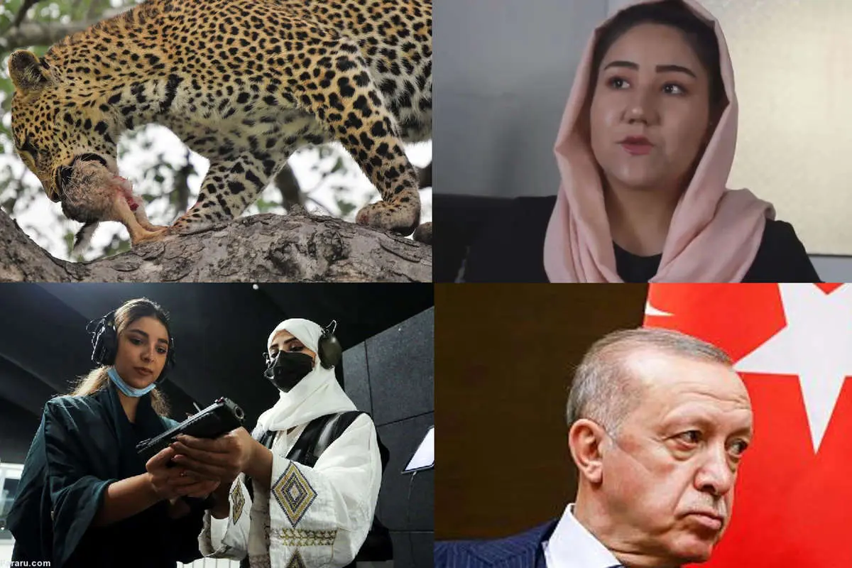 (ویدئو) از تابوشکنی زن عربستانی تا پاکبان گدا و رهبر طالبان در میان هوادارانش