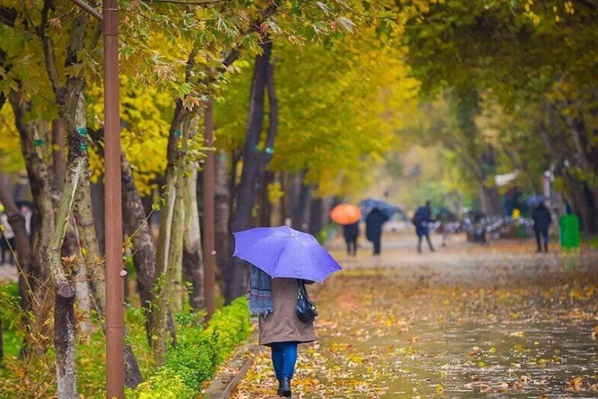 شهریار و شمیران رکورددار بارندگی ۲۴ ساعت گذشته در تهران