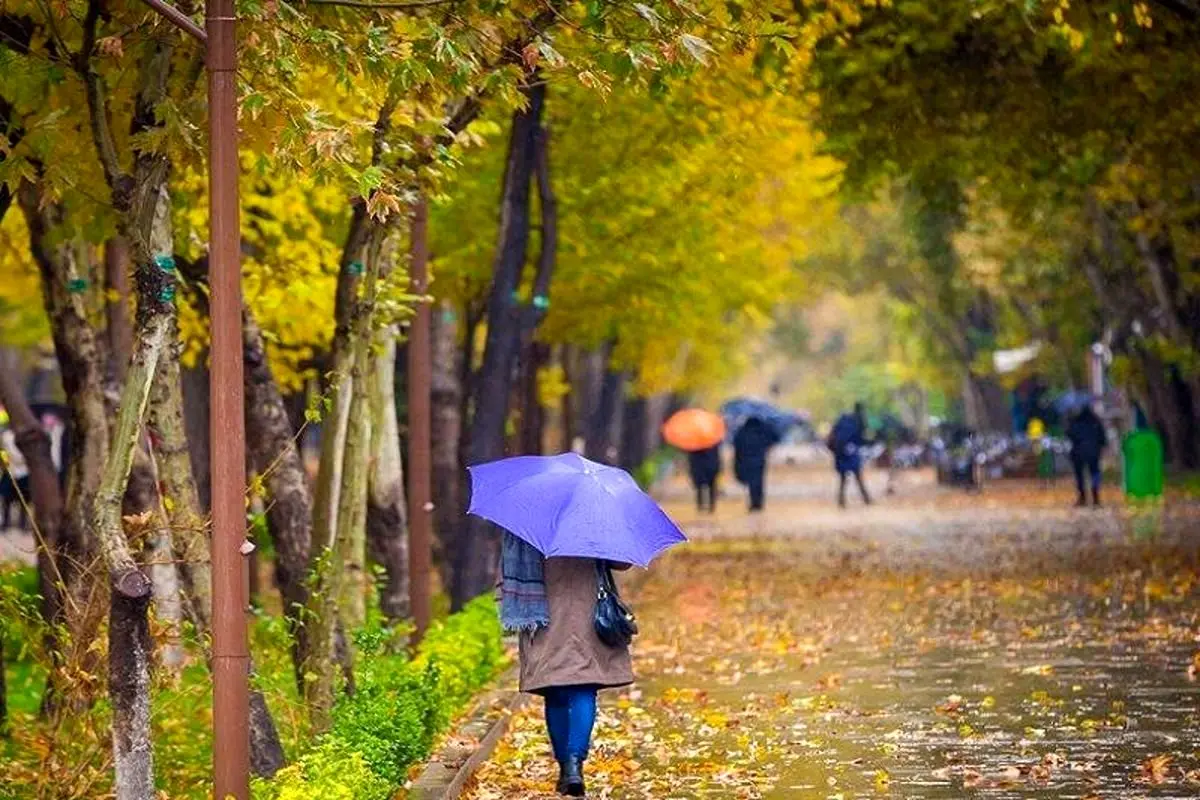 شهریار و شمیران رکورددار بارندگی ۲۴ ساعت گذشته در تهران
