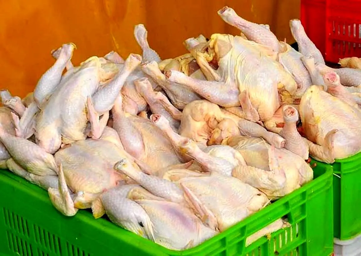 قیمت مرغ تازه چند؟