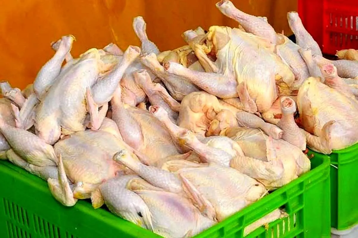قیمت مرغ تازه چند؟