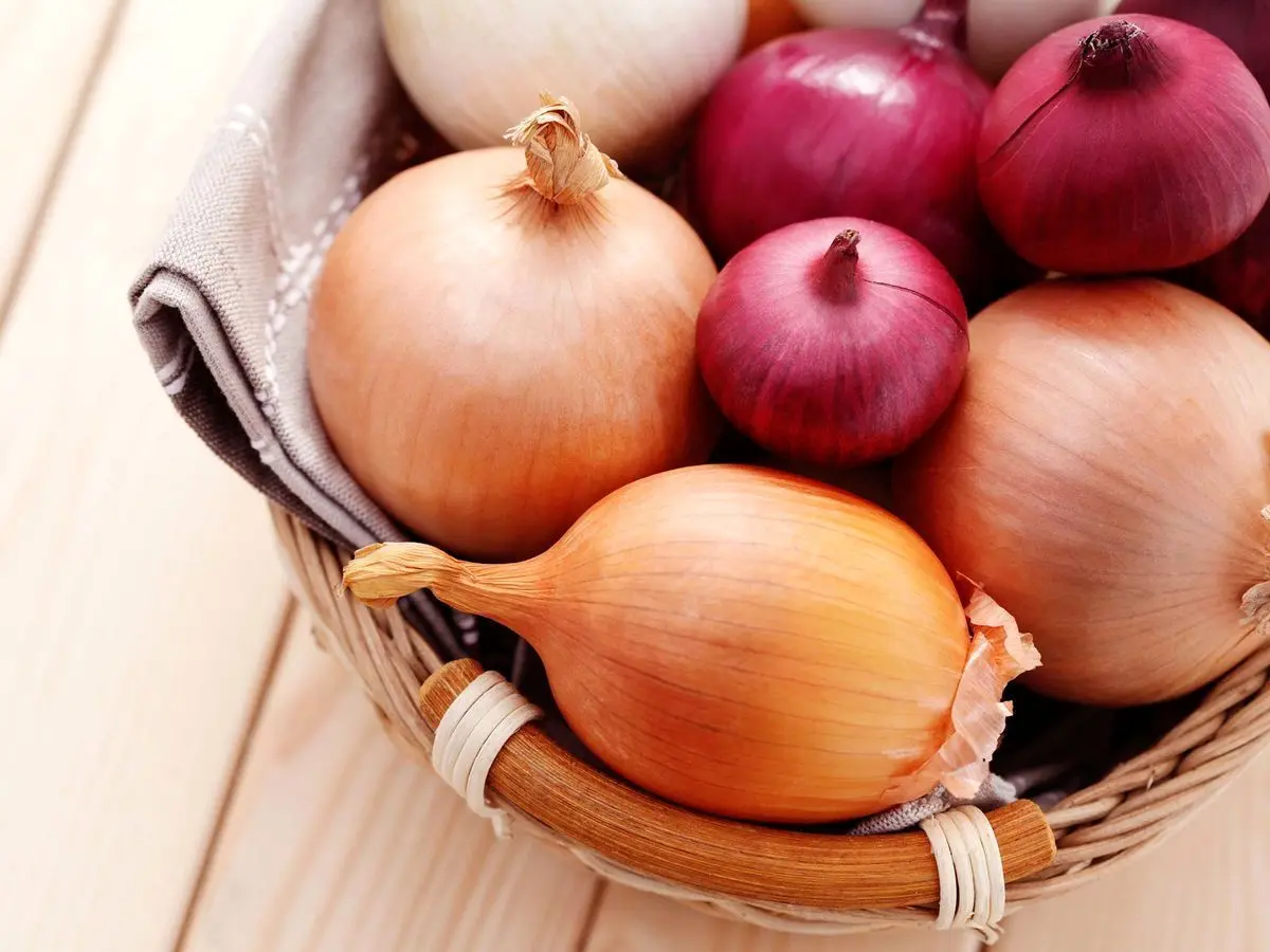شش خاصیت معجزه‌آسای پیاز برای سالمندان