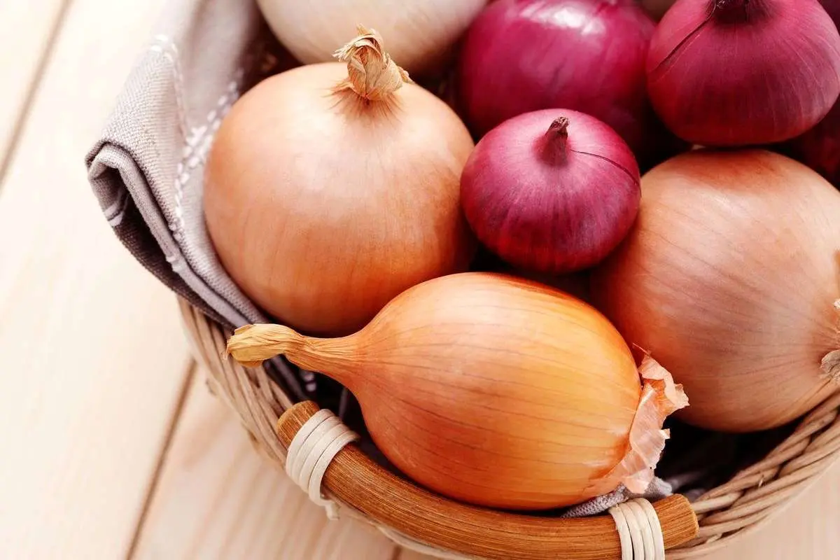 شش خاصیت معجزهآسای پیاز برای سالمندان