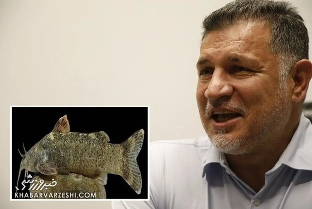 واکنش به جنجال «ماهی دایی» و شوخی‌های مجازی