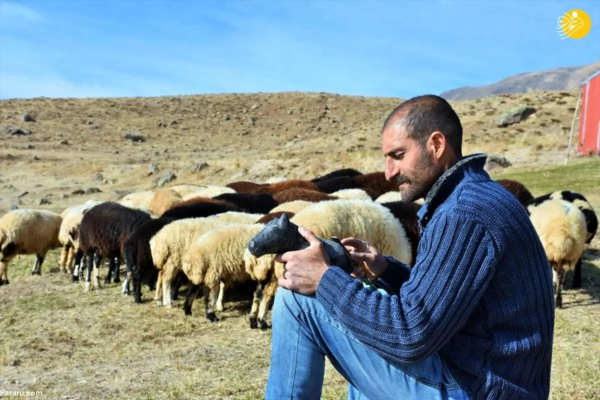 ماجرای استخدام چوپانان ایرانی در ارمنستان و جزئیات پرداخت حقوق