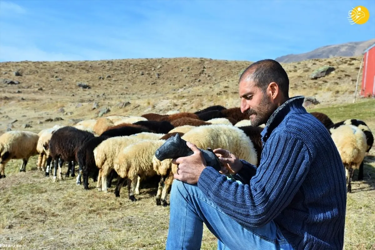 ماجرای استخدام چوپانان ایرانی در ارمنستان و جزئیات پرداخت حقوق