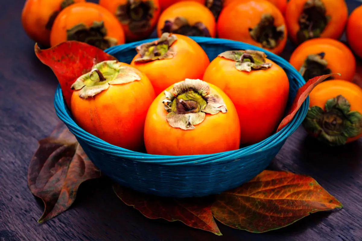 بلایی که خوردن زیاد خرمالو سرتان می‌آورد