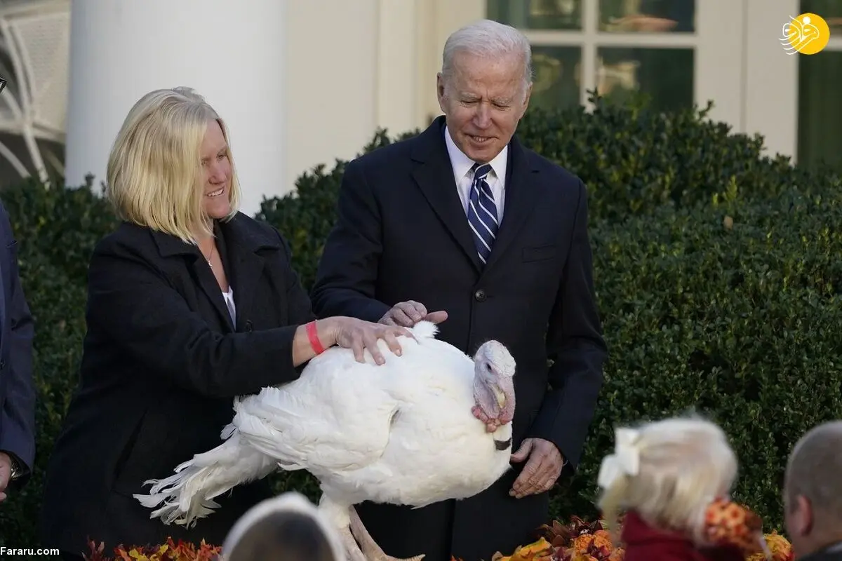 (ویدئو) بایدن و عفو بوقلمون شکرگزاری