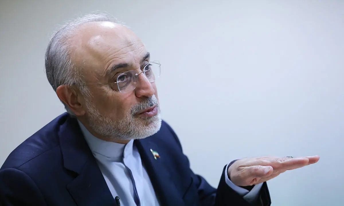 علی‌اکبر صالحی: آمریکا در سیاست خارجی نگاه آرمانی ندارد