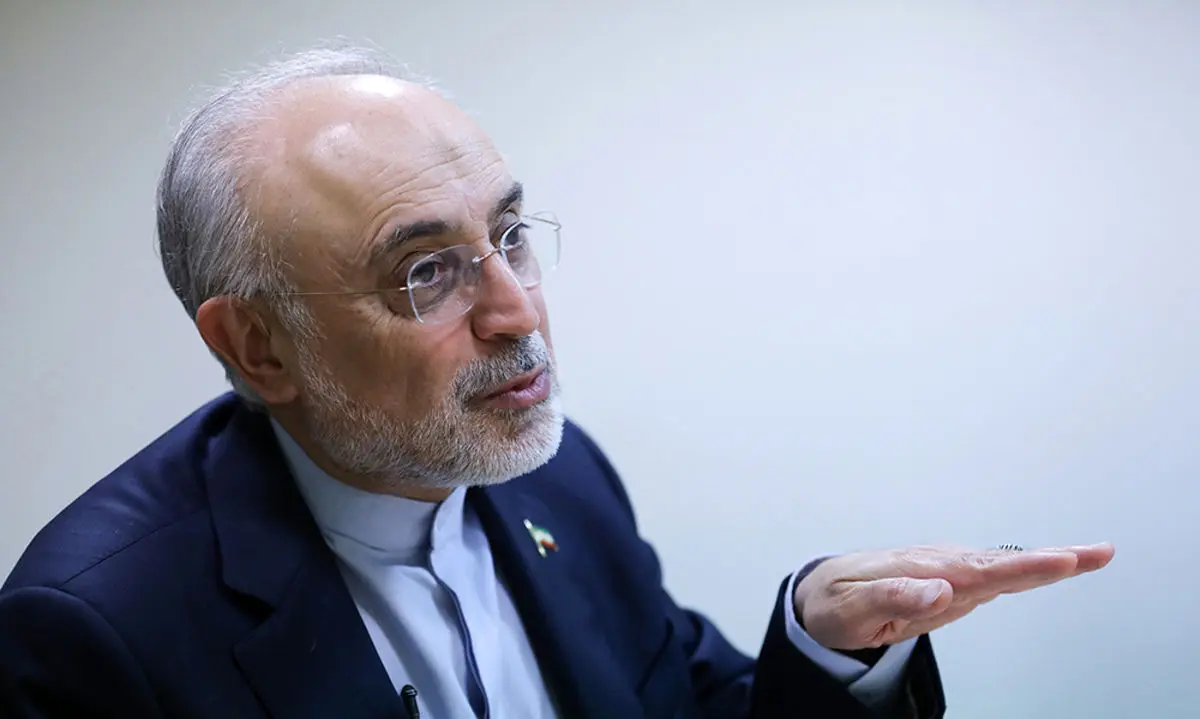 علی‌اکبر صالحی: آمریکا در سیاست خارجی نگاه آرمانی ندارد