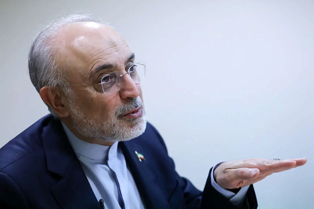 علیاکبر صالحی: آمریکا در سیاست خارجی نگاه آرمانی ندارد