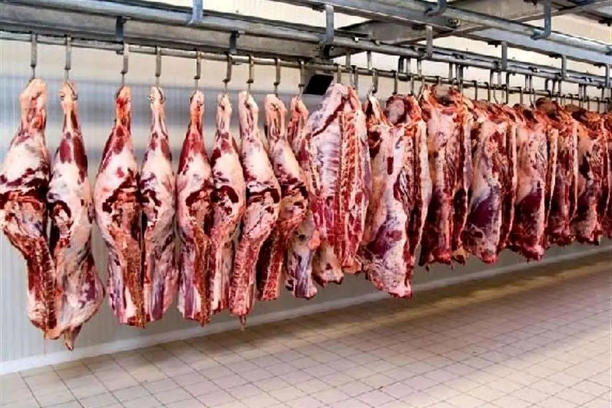 کاهش قیمت گوشت در میادین میوه و تره بار پایتخت