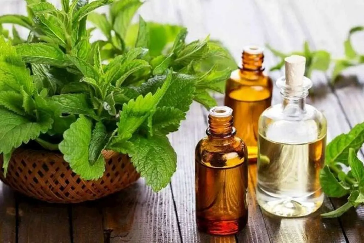 خوردن عرق نعناع برای این بیماری معده ممنوع!