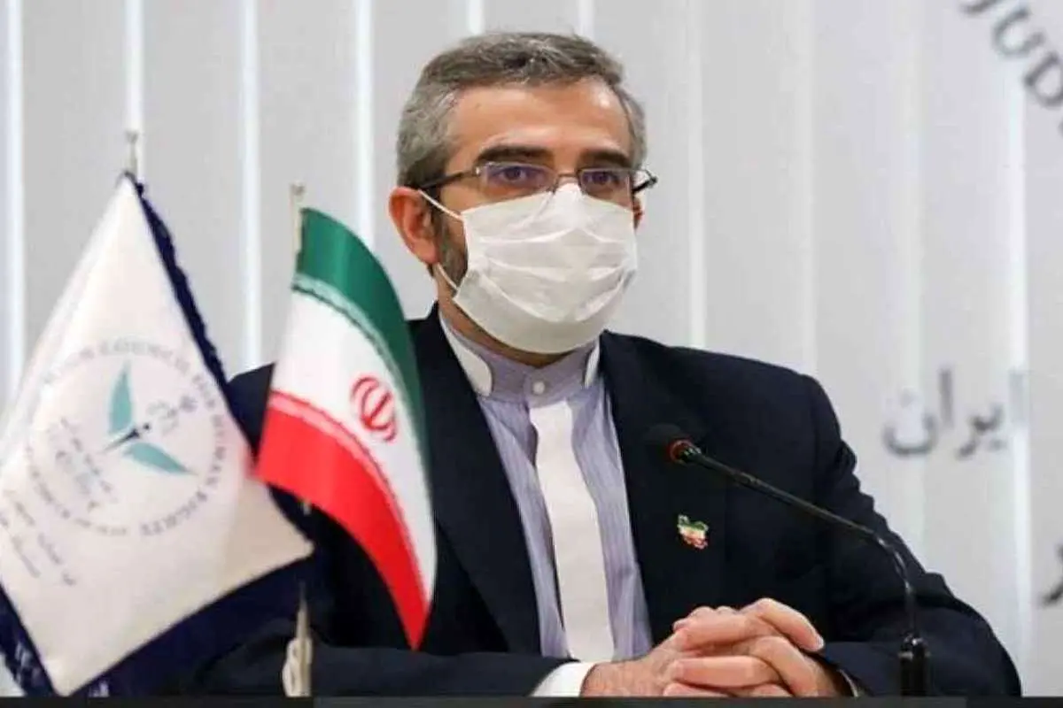 (ویدئو) لحظه ورود علی باقری به هتل کوبورگ