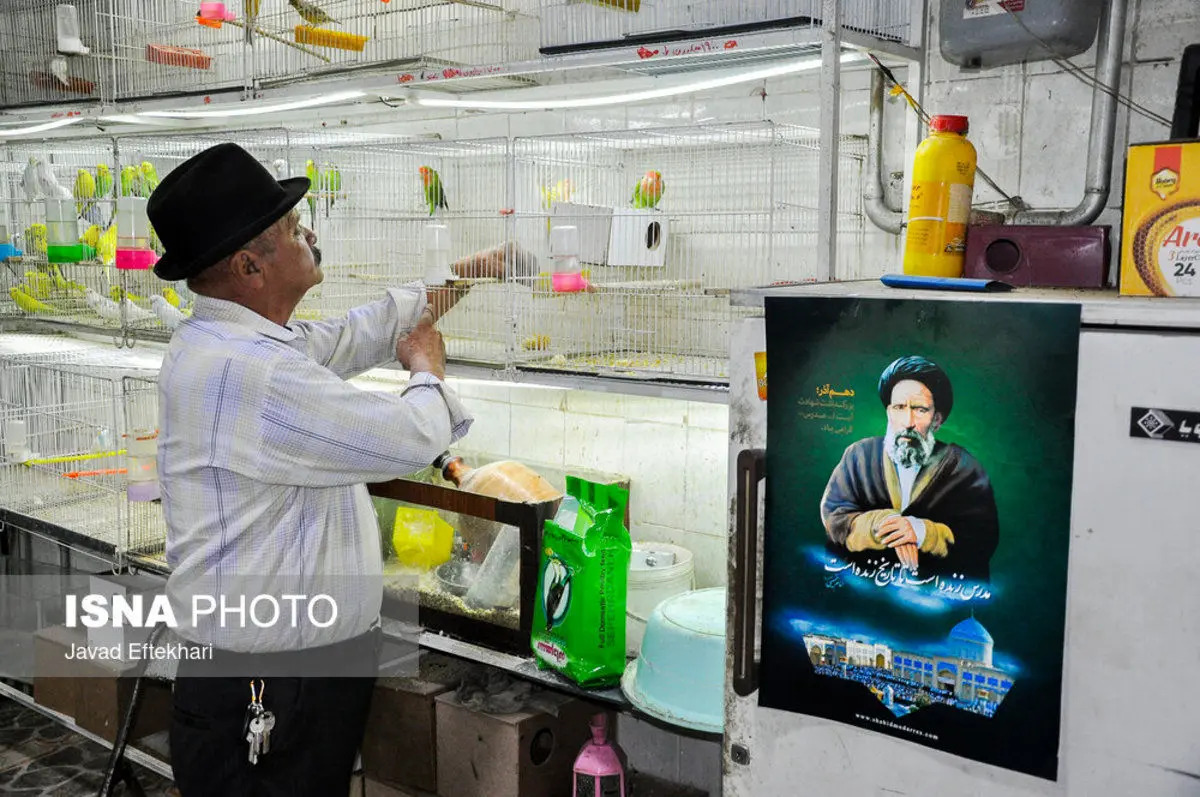 (تصاویر) آرامگاه مدرّس