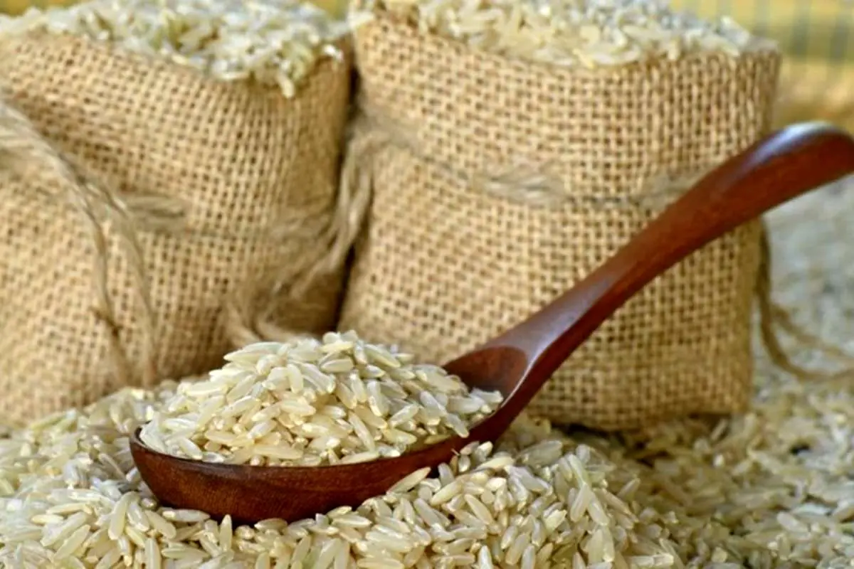 مصرف ماهیانه ۱۴۰ هزار تن برنج خارجی در کشور