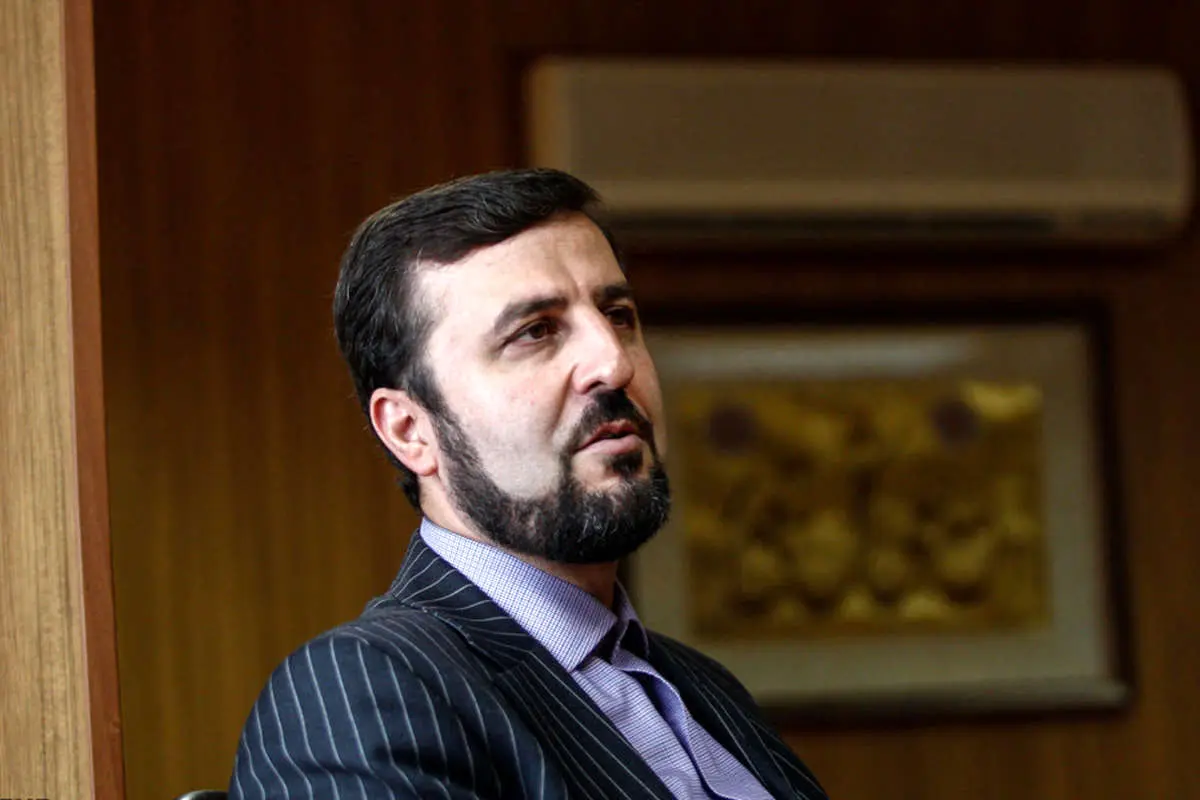 غریب آبادی: زندانی دوتابعیتی نداریم