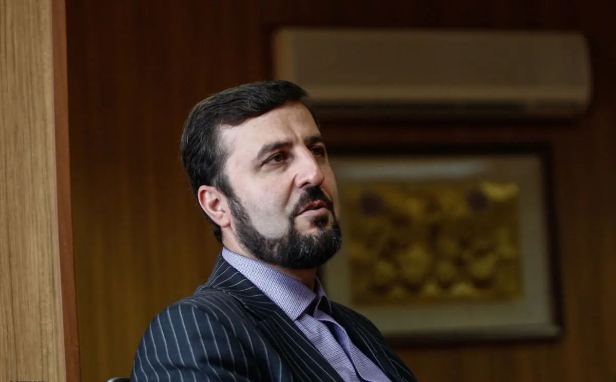 غریب آبادی: زندانی دوتابعیتی نداریم