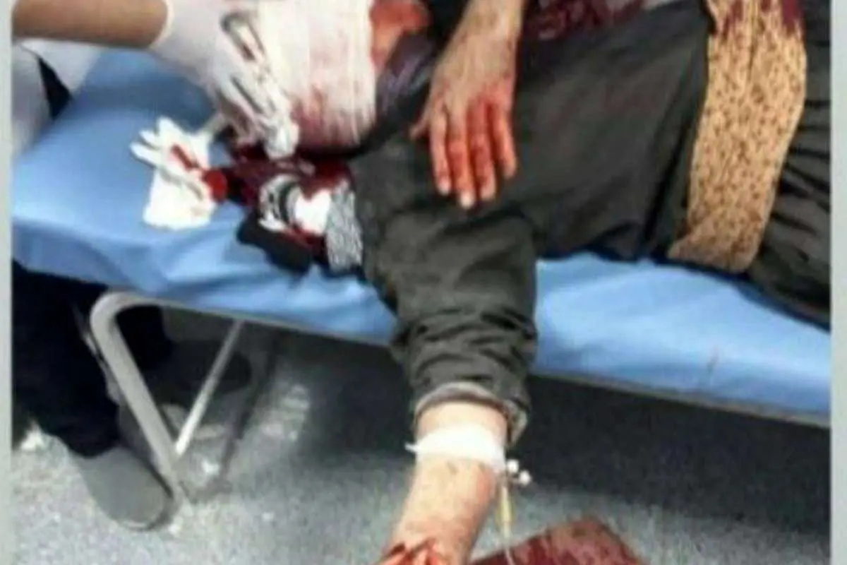 (ویدئو) حمله یک قلاده گرگ به اهالی جوانرود