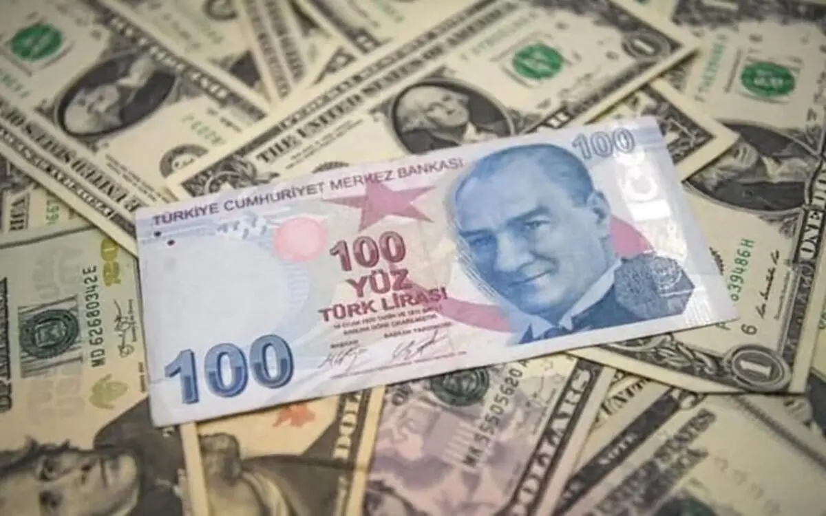 چرایی سقوط آزاد لیر ترکیه