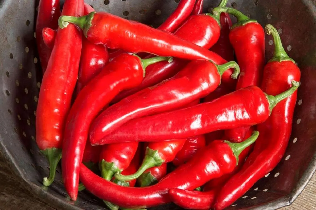 غذاهای تند با ما چه میکند!