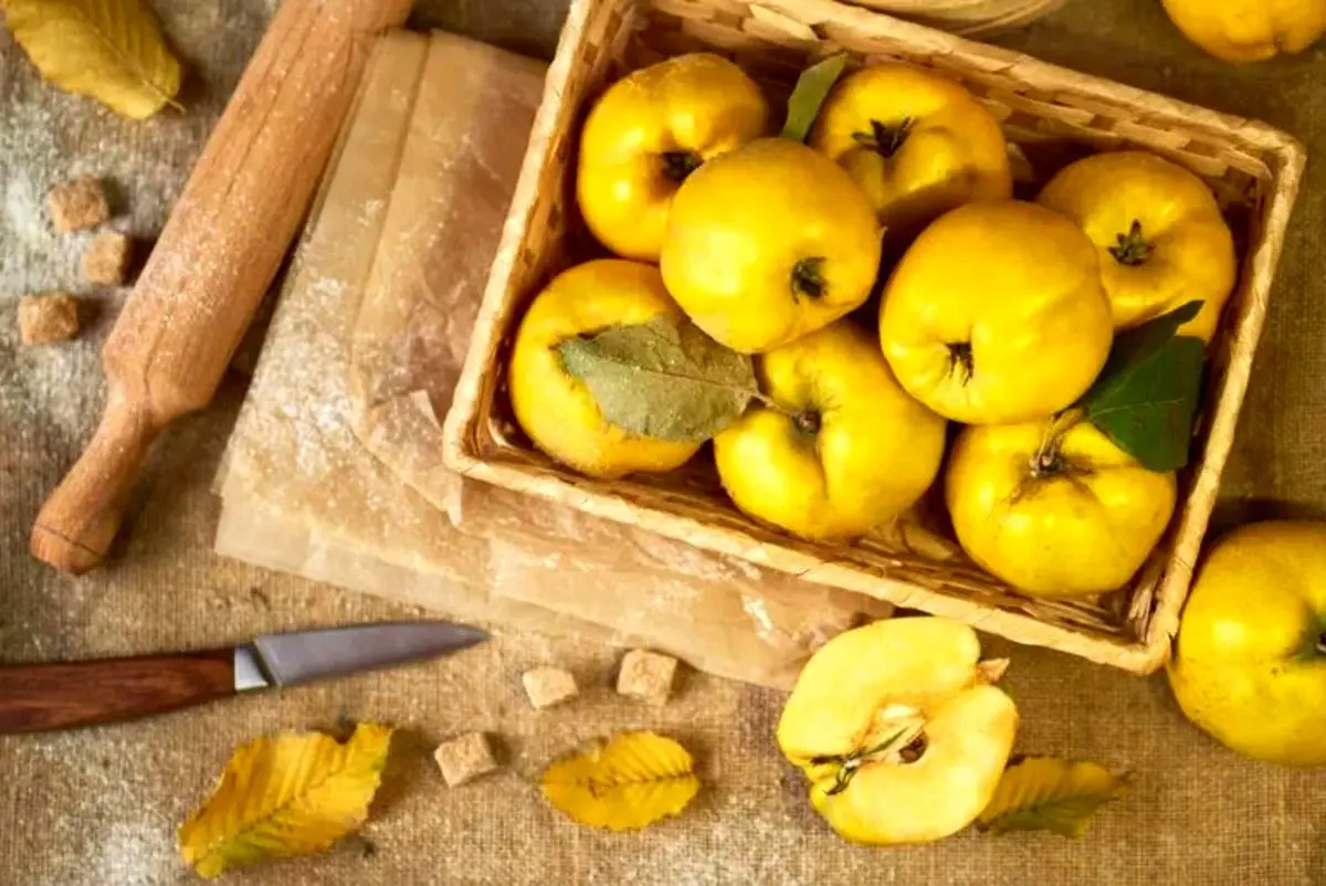 ۱۶ نکته برای درست کردن مربای به