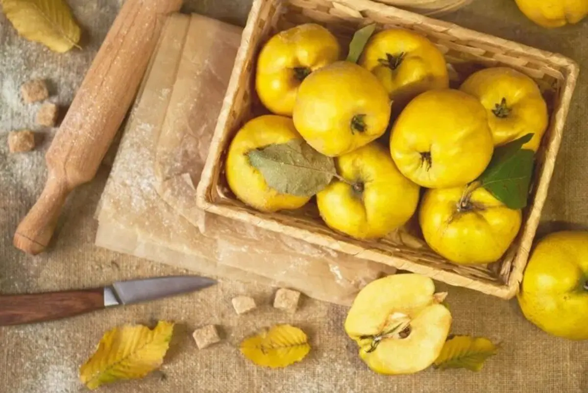 ۱۶ نکته برای درست کردن مربای به