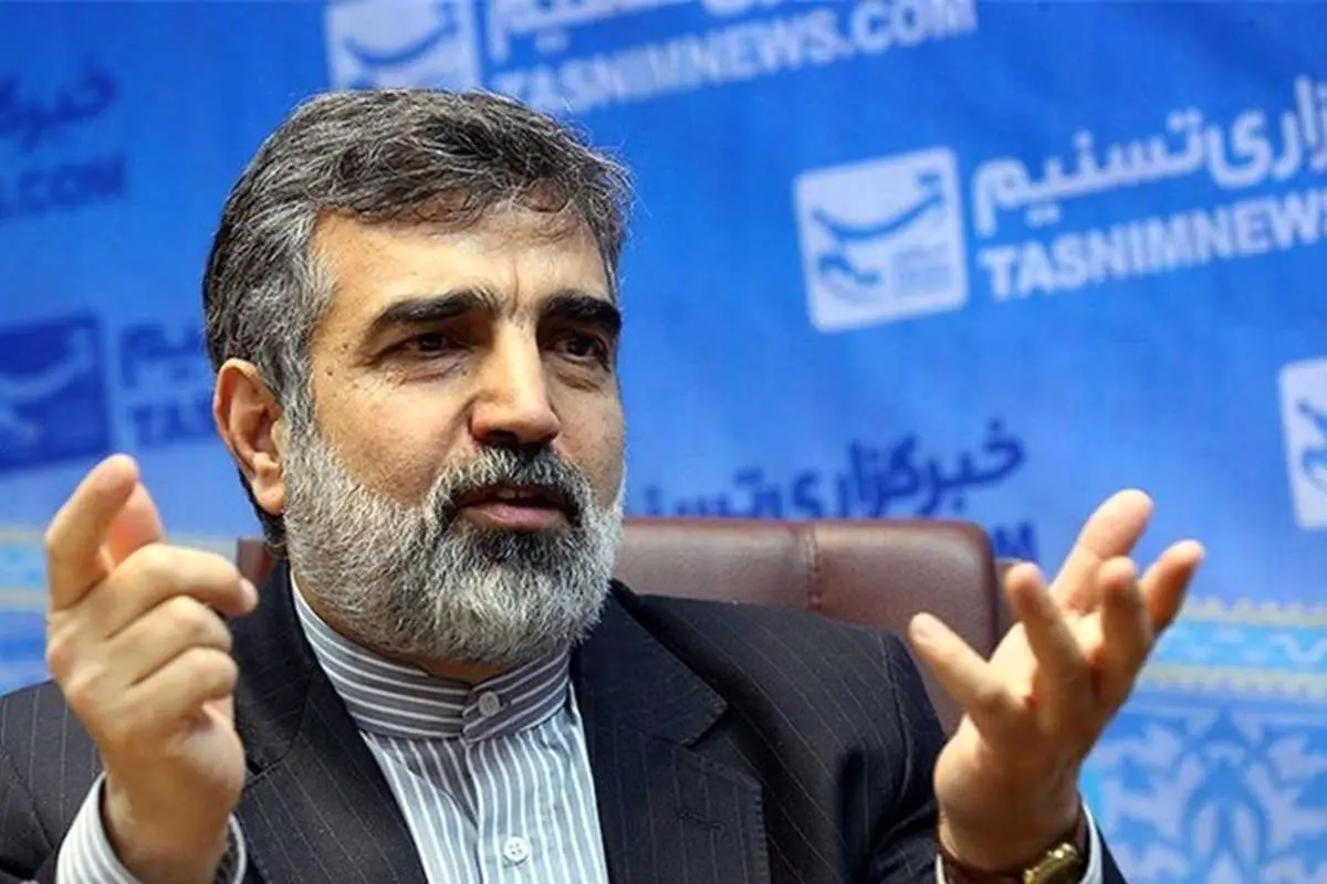 کمالوندی: تعاملات و همکاری با آژانس ادامه دارد