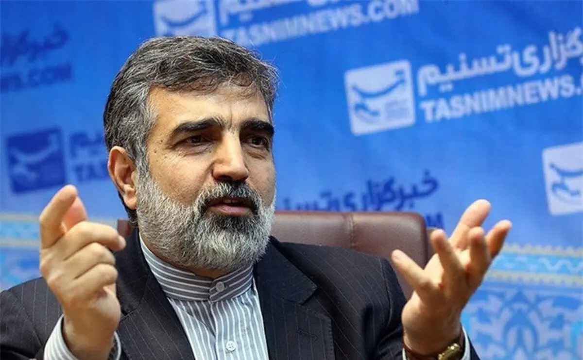 کمالوندی: تعاملات و همکاری با آژانس ادامه دارد