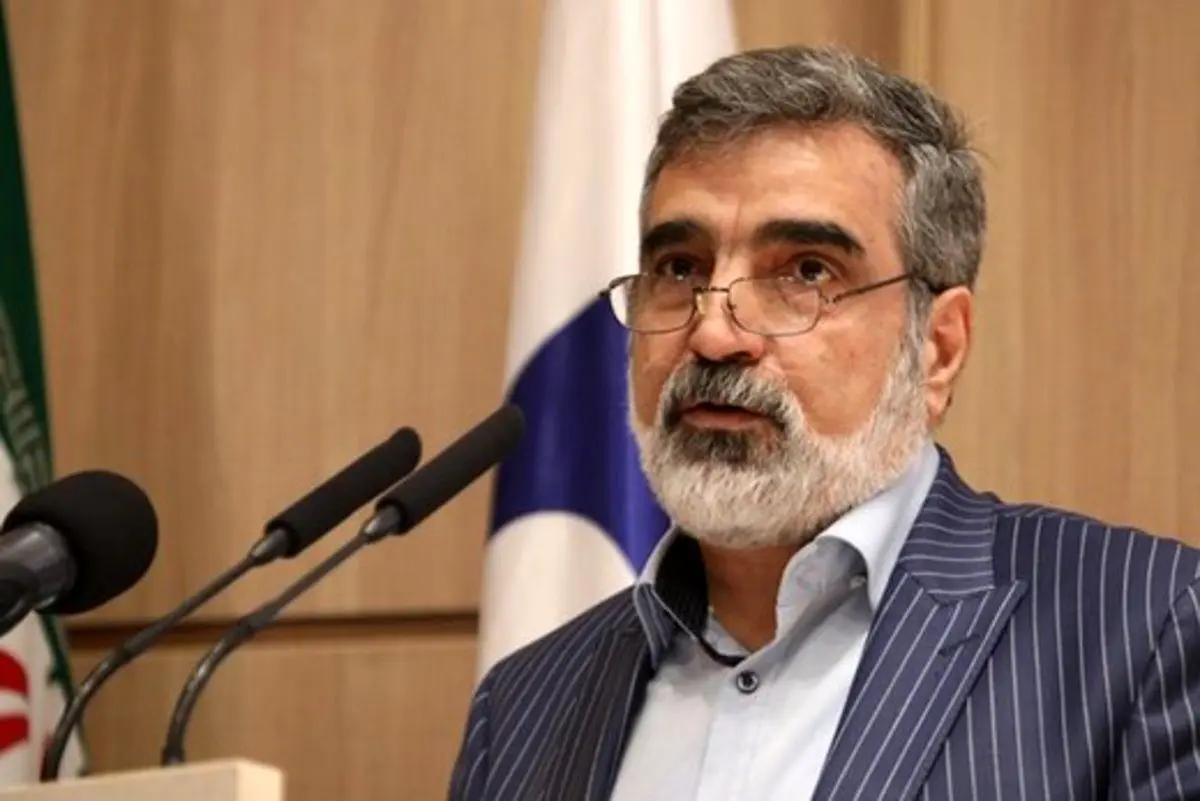 کمالوندی: به خاطر کمبود وقت با آژانس به جمع‌بندی نرسیدیم