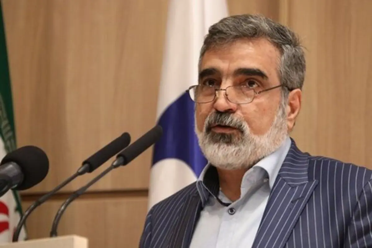 کمالوندی: به خاطر کمبود وقت با آژانس به جمع‌بندی نرسیدیم