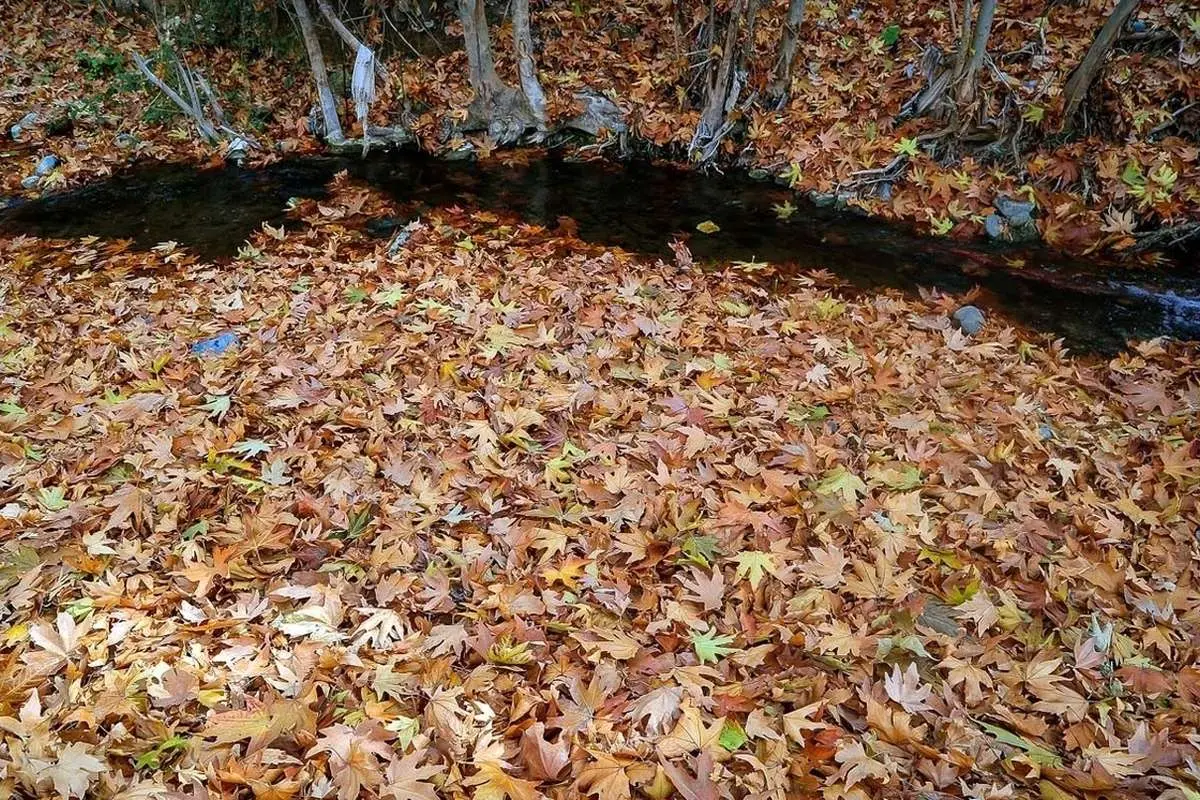(تصاویر) طبیعت زیبای پاییزی قاهان قم