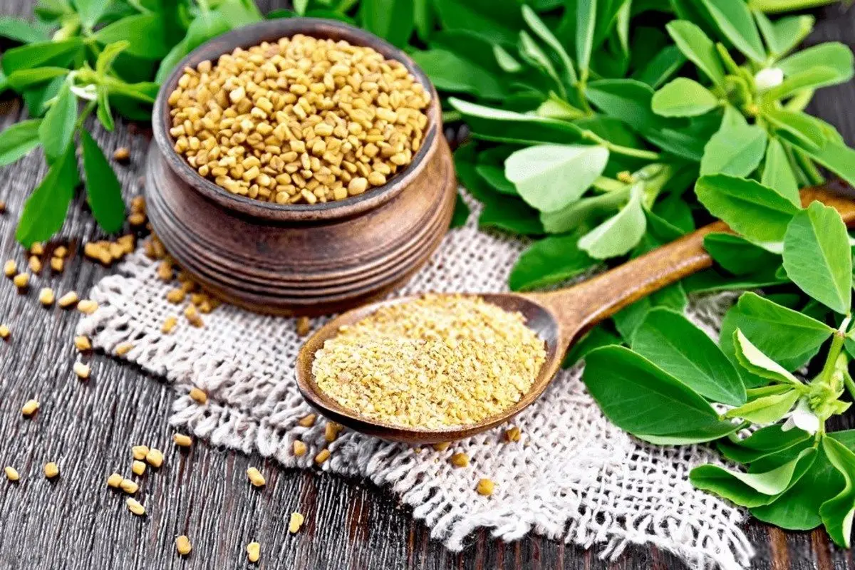 چربی‌خون خود را با این گیاه درمان کنید