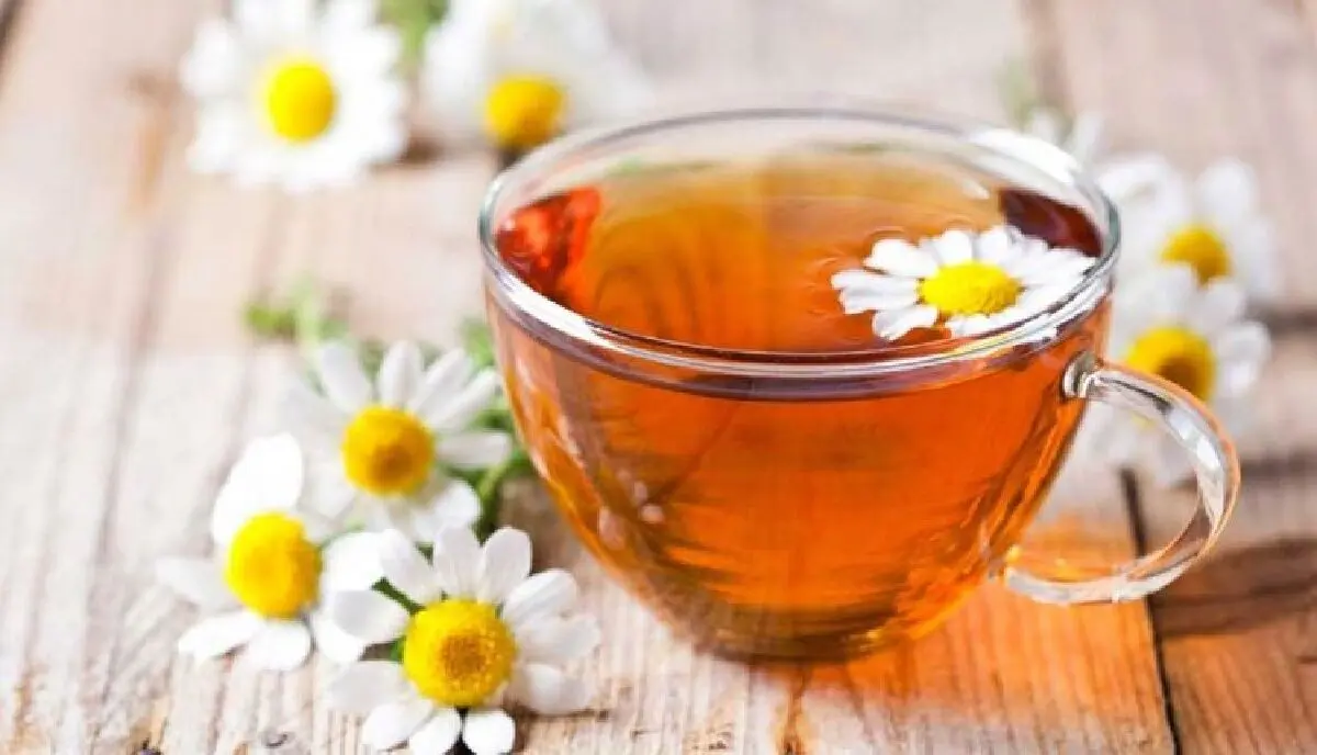 گیاهی برای رفع سوء هاضمه و گرفتگی عضلانی