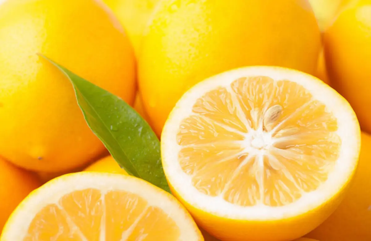 اعجاز بی نظیر لیموترش