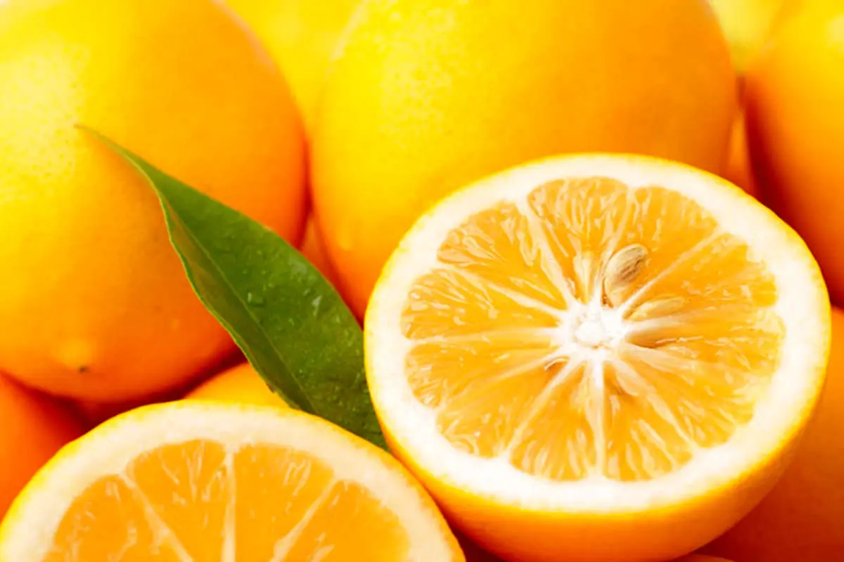 اعجاز بی نظیر لیموترش